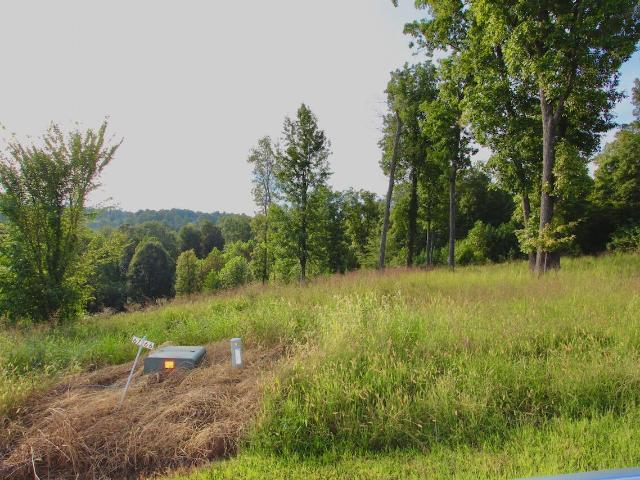 Land for sale in Eddyville, Kentucky