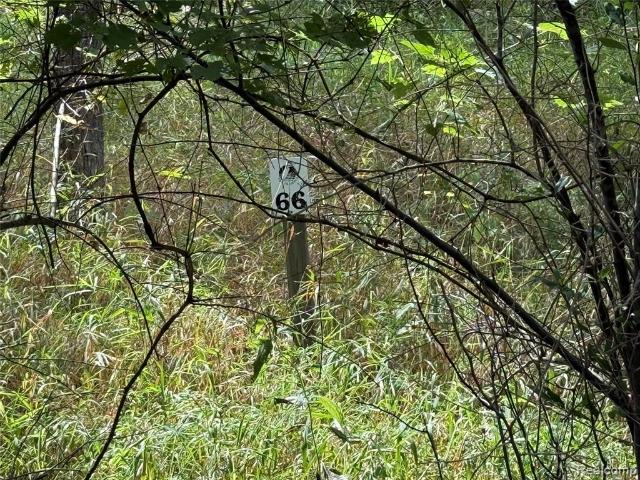 Land for sale in Michigan