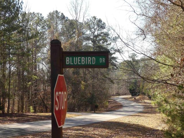 Land for sale in Wedowee, Alabama