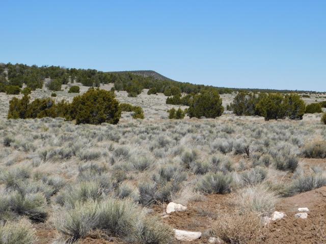 Land for sale in Catron, New Mexico
