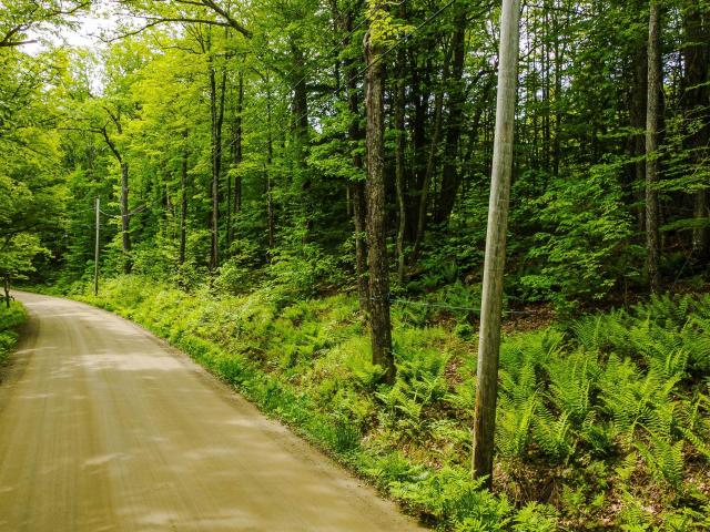 Land for sale in New Hampshire