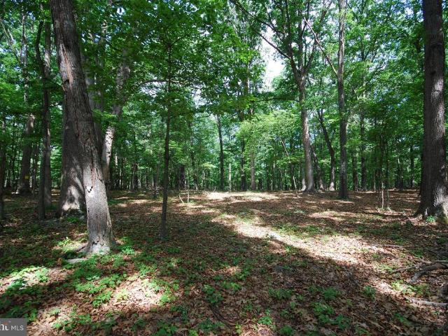 Land for sale in Romney, West Virginia