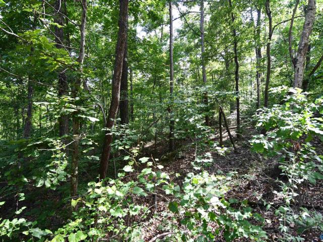 Land for sale in Etowah, Alabama