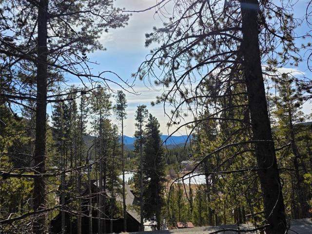 Land for sale in Alice, Idaho Springs