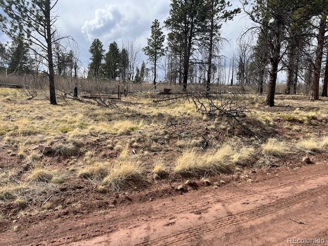 Land for sale in Fort Garland, Colorado