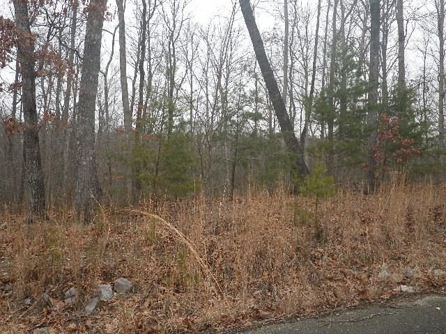 Land for sale in Tennessee