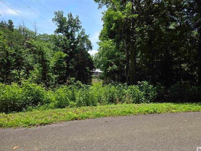 Land for sale in Cadiz, Kentucky