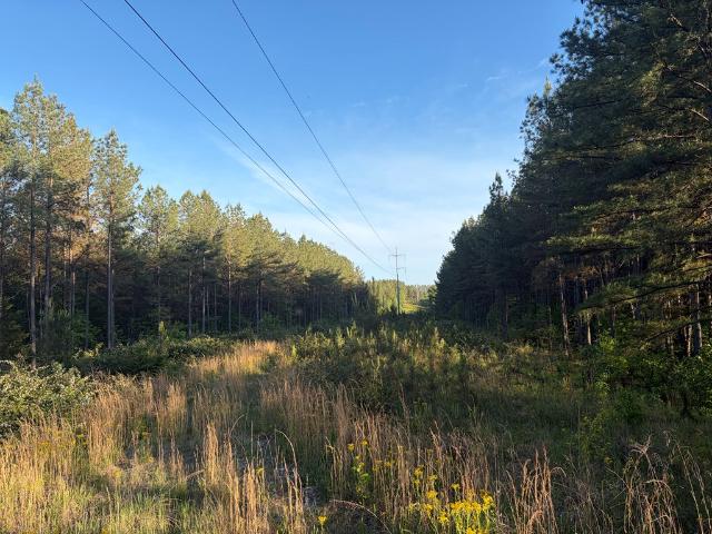 Land for sale in Tennessee