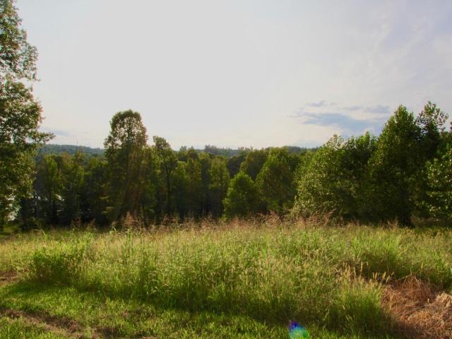Land for sale in Eddyville, Kentucky