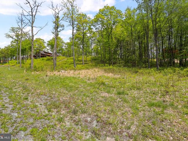 Land for sale in Garrett, Maryland