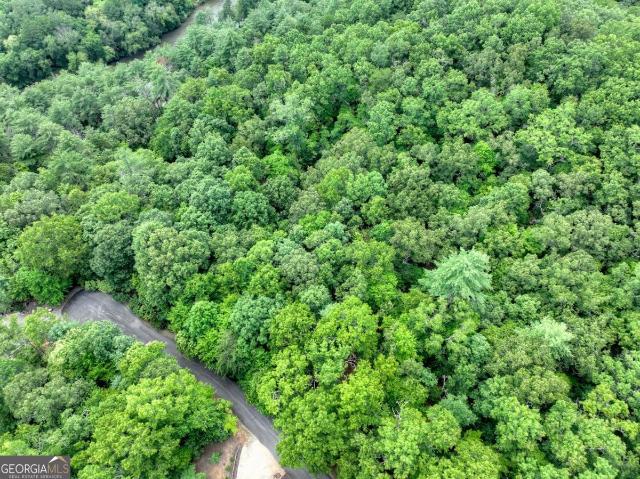 Land for sale in Georgia