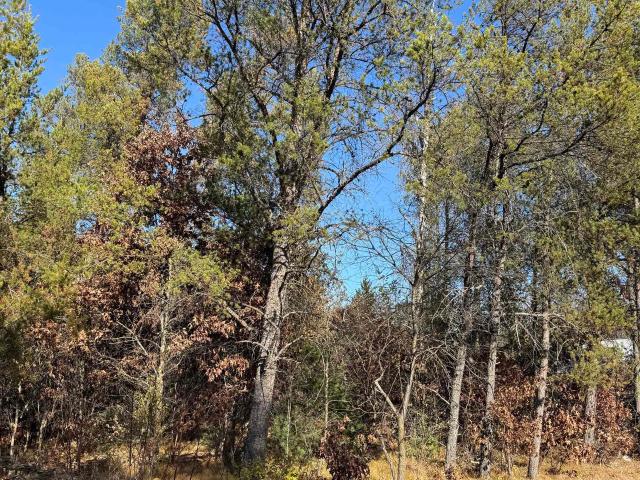 Land for sale in Juneau, Wisconsin