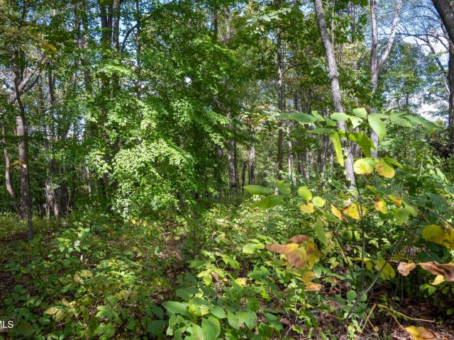 Land for sale in Virginia