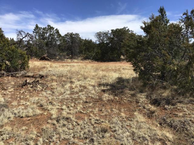 Land for sale in Ramah, New Mexico