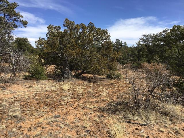 Land for sale in Ramah, New Mexico