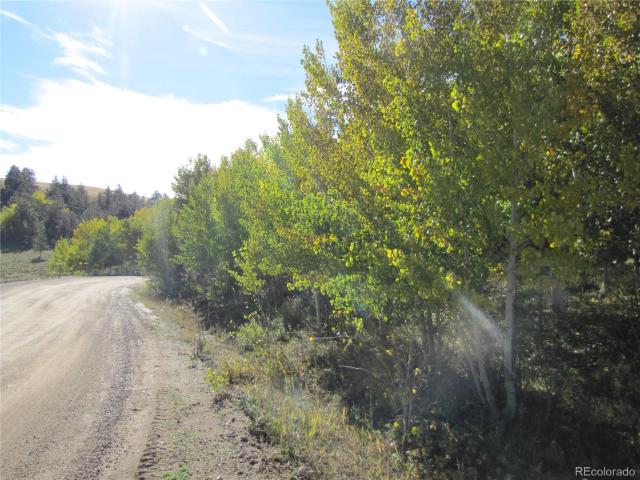 Land for sale in Hartsel, Colorado