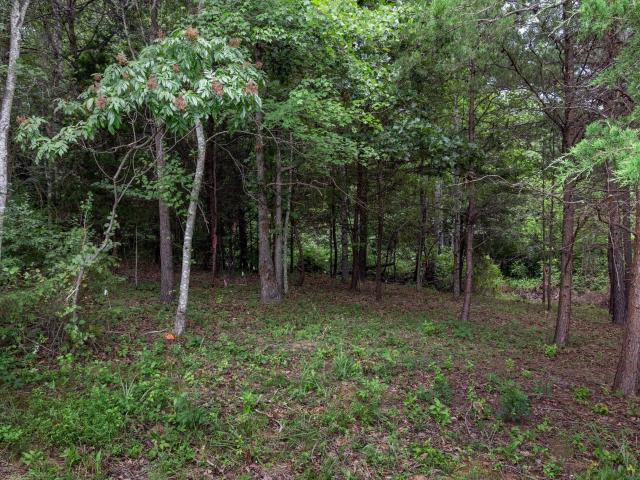 Land for sale in Virginia