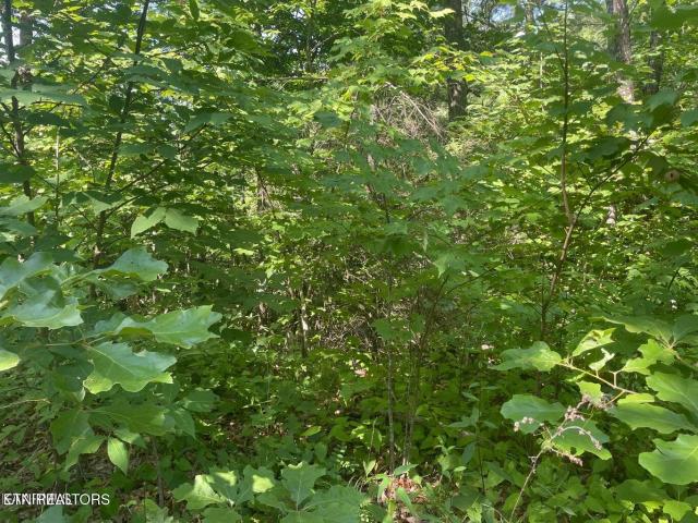 Land for sale in Sevierville, East Tennessee