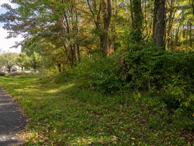 Land for sale in Virginia
