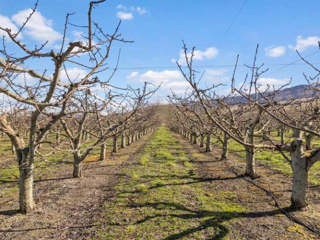 Property for sale in Otakou