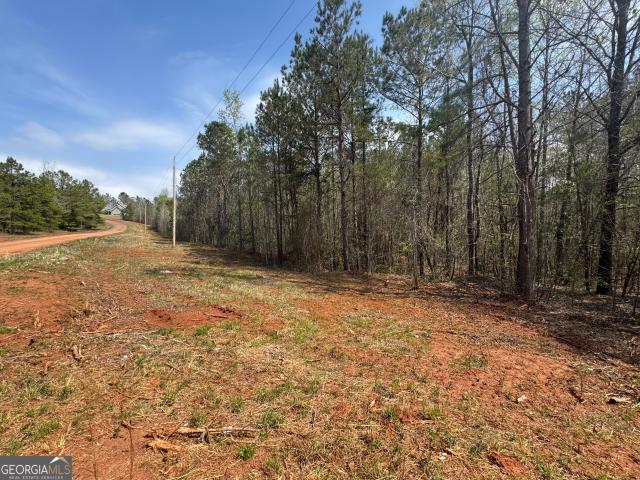 Land for sale in Lanett, Alabama