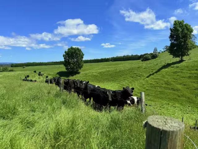 House for sale in Bay Of Plenty