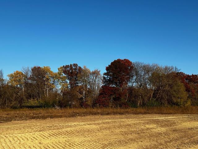 Land for sale in Becker, Minnesota