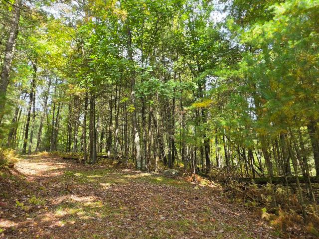 Land for sale in Minisink Ford, Town of Tusten