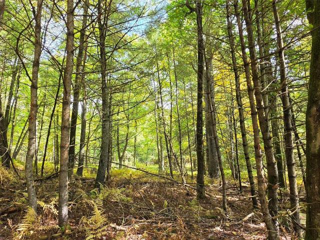 Land for sale in Narrowsburg, Town of Tusten