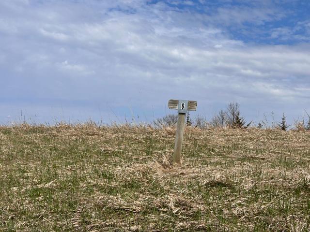 Land for sale in Grant, Minnesota