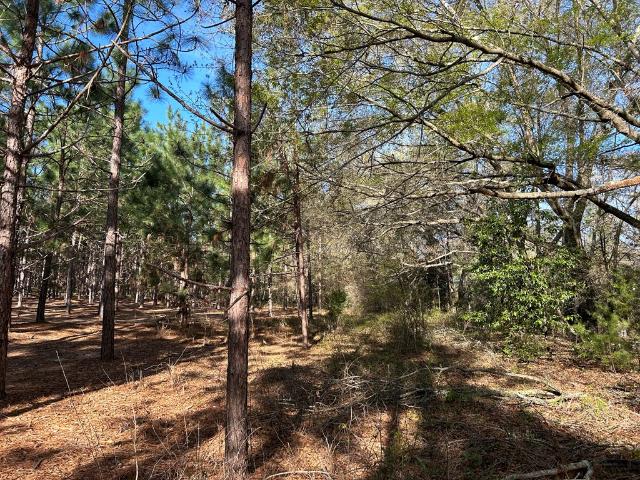 Land for sale in Headland, Alabama