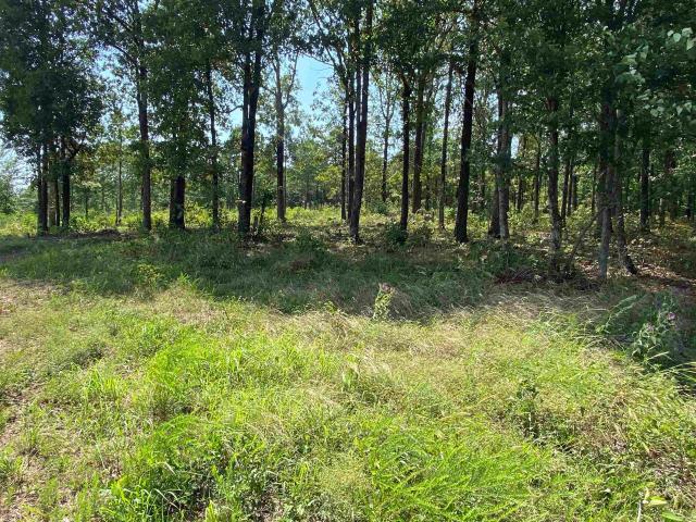 Land for sale in Ark