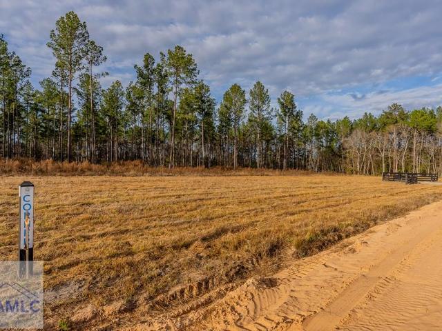 Land for sale in Brooklet, Georgia