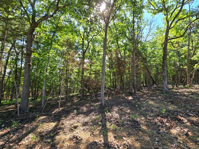 Land for sale in Hickory, Missouri