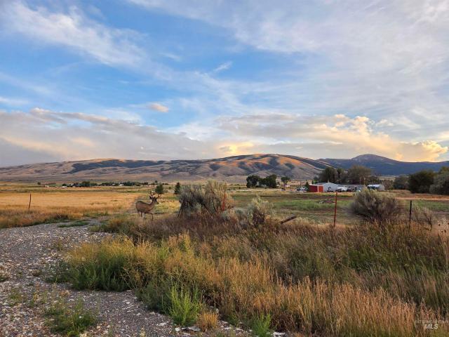 Land for sale in Albion, Idaho