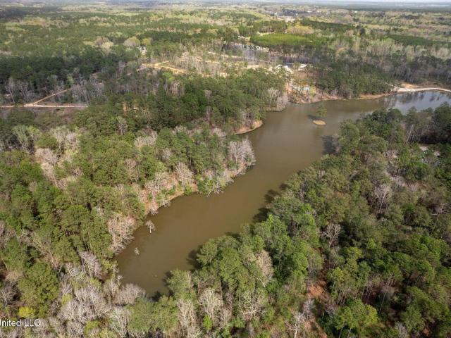 Land for sale in Sumrall, Mississippi