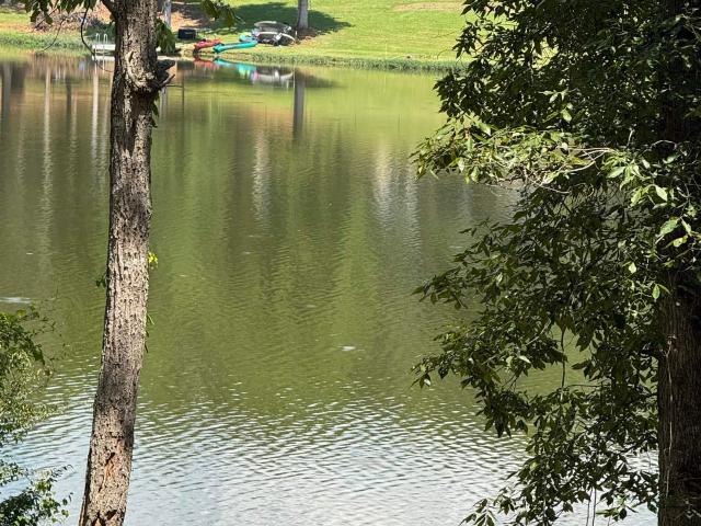 Land for sale in Wedowee, Alabama