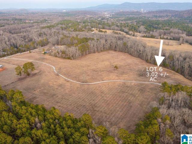 Land for sale in Jacksonville, Alabama