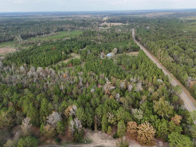 Land for sale in Polk, Texas