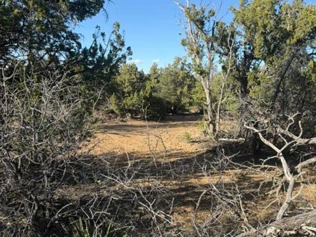 Land for sale in Ramah, New Mexico