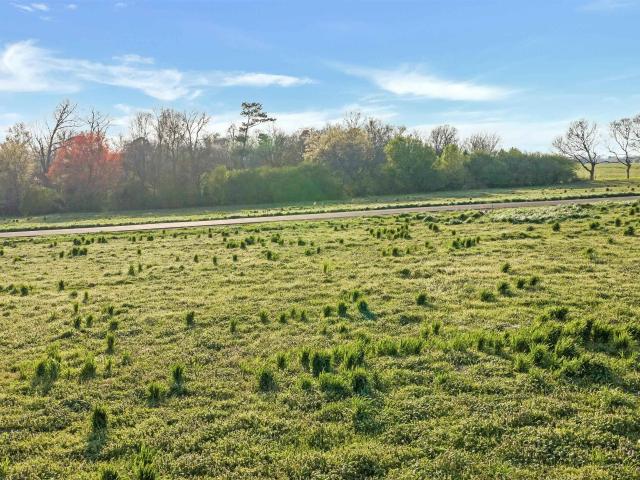 Land for sale in Rainsville, Alabama