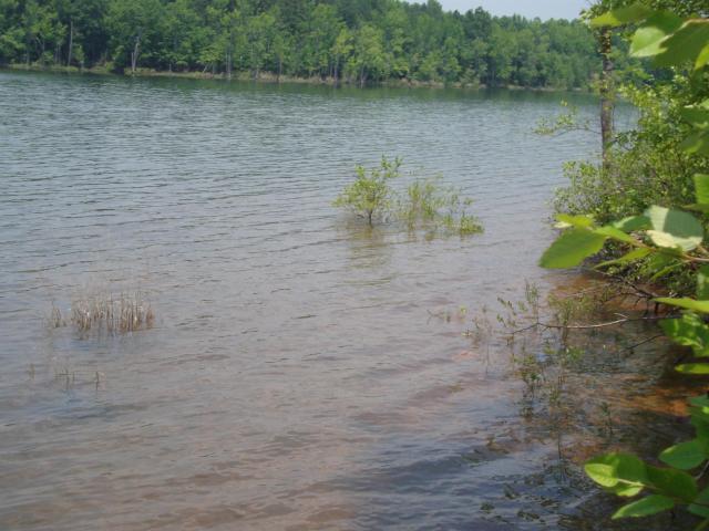 Land for sale in Virginia