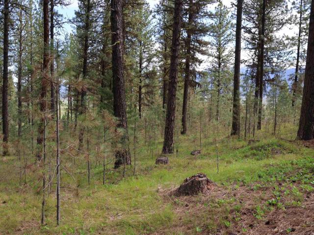 Land for sale in New Meadows, Idaho
