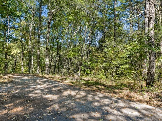 Land for sale in Walhalla, Oconee County