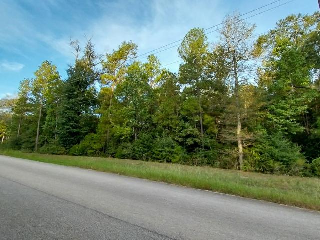Land for sale in Texas Grand Ranch, Huntsville