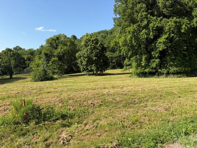 Land for sale in Tennessee
