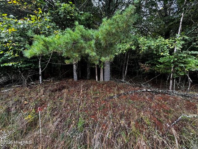 Land for sale in Culberson, Murphy