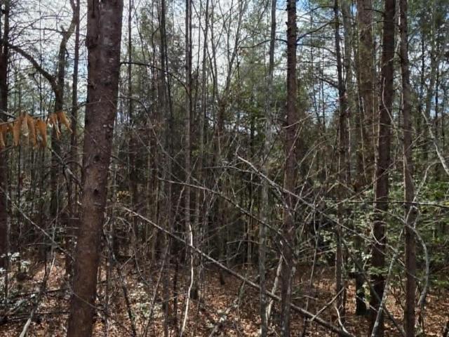Land for sale in Old Fort, North Carolina
