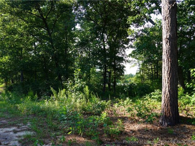 Land for sale in Red Springs, North Carolina