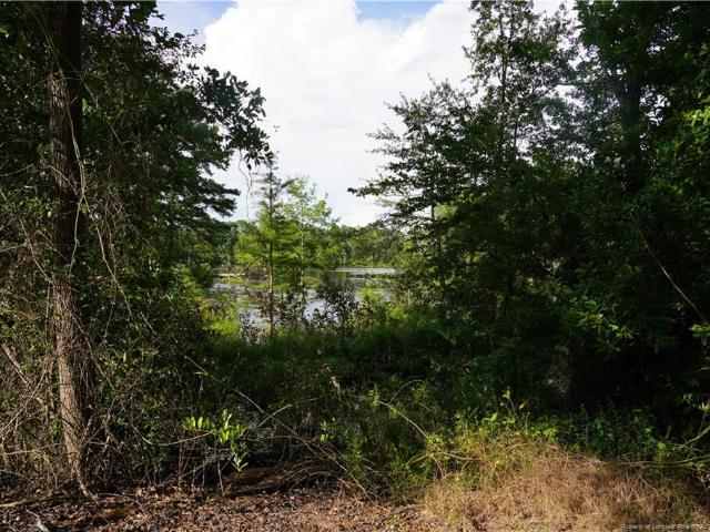 Land for sale in Red Springs, Hoke County
